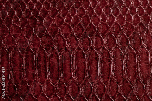 Beautiful red, pink bright snake or crocodile skin, reptile skin texture, multicolored close-up as a background.