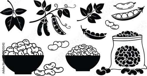 Black and white vector illustration of bean pods, seeds, leaves, and sack of beans in natural style 