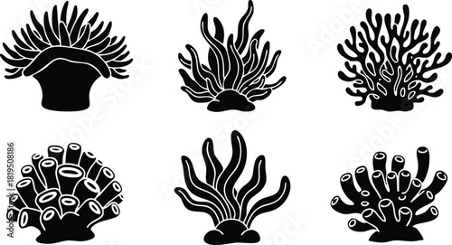 Collection of black silhouette coral reef vector illustrations showing different coral shapes and textures in marine environment 