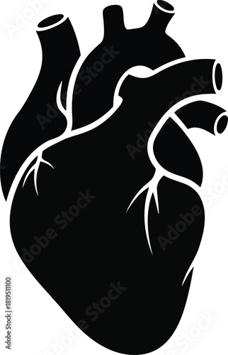 Anatomical human heart silhouette icon vector. cardiology medical organ symbol illustration