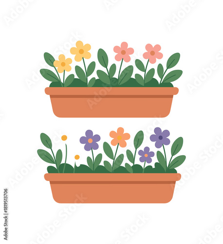 Flat vector illustration 2 window planters with small blooming flowers rounded shapes spring home decor