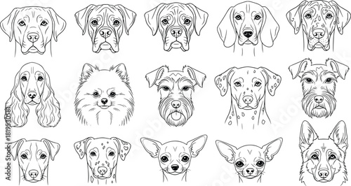 dog breed face sketches in black and white, cartoon-style vector illustration for pet identity, education, design, and breed recognition.