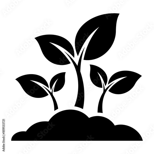 Nature and Environment Vector Illustration of three young plants sprouting from the ground with leaves in black and white style
