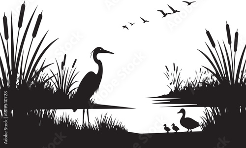 Silhouette of a heron and ducks in a marsh with reeds and flying birds duckling chicks