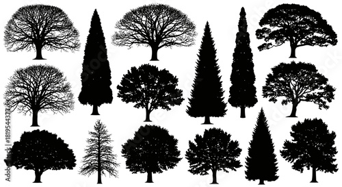 Collection of diverse tree silhouettes from nature for graphic design