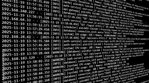 Server logs scrolling down 