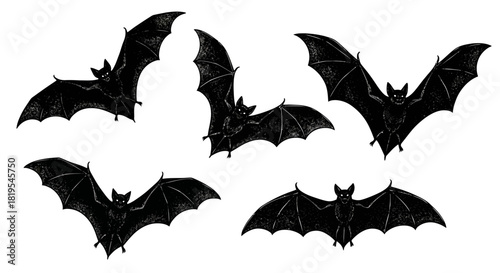 Dark silhouettes of several flying bats perfect for Halloween designs