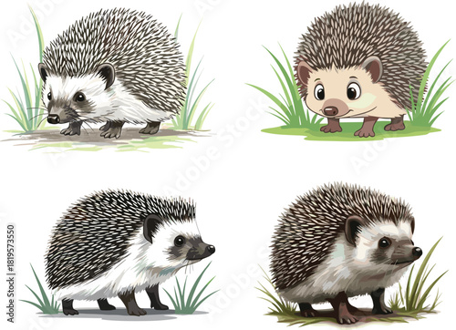 Cute hedgehog illustrations in grass, realistic and cartoon styles, adorable wildlife artwork featuring spiky hedgehogs in natural outdoor environment for stock designs