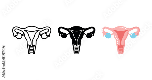 Uterus illustrations in outline, silhouette, and color with ovaries on white background