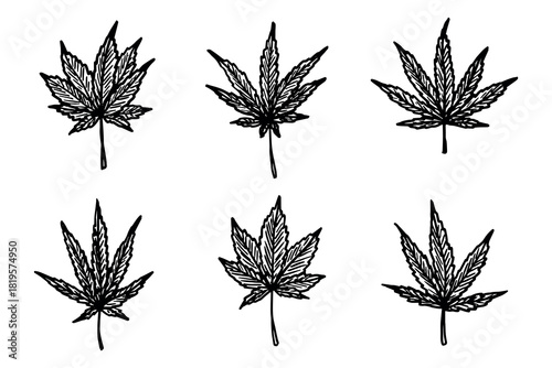 Set of hand drawn cannabis leaf Medicine marijuana Hemp leaves clipart in doodle style Single element for print, web, design, decor