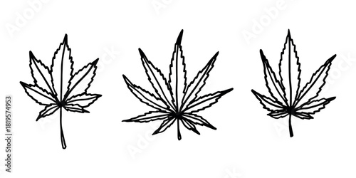 Set of hand drawn cannabis leaf Medicine marijuana Hemp leaves clipart in doodle style Single element for print, web, design, decor
