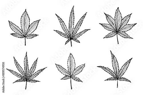 Set of hand drawn cannabis leaf Medicine marijuana Hemp leaves clipart in doodle style Single element for print, web, design, decor