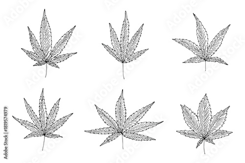 Set of hand drawn cannabis leaf Medicine marijuana Hemp leaves clipart in doodle style Single element for print, web, design, decor