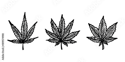 Set of hand drawn cannabis leaf Medicine marijuana Hemp leaves clipart in doodle style Single element for print, web, design, decor