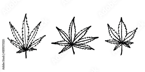 Set of hand drawn cannabis leaf Medicine marijuana Hemp leaves clipart in doodle style Single element for print, web, design, decor