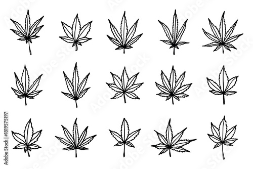 Set of hand drawn cannabis leaf Medicine marijuana Hemp leaves clipart in doodle style Single element for print, web, design, decor