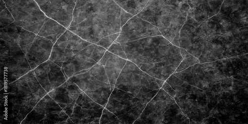 Black and white vintage pattern of grass in snow with dark grunge texture backdrop
