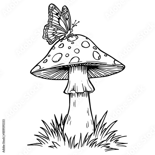 Mushroom & butterfly : A charming black and white line art illustration coloring page