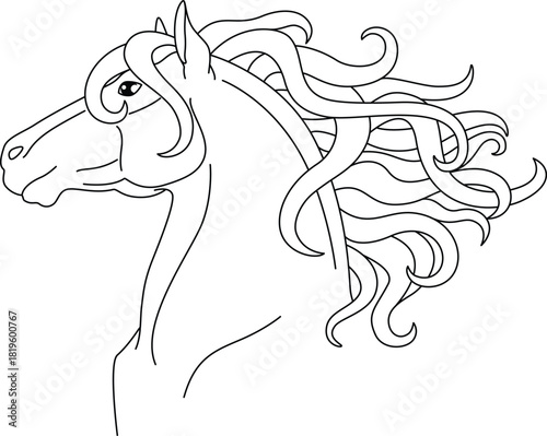 A horse with a long, lush mane, an animal portrait - a vector linear image for coloring. Outline. A stallion with a luxurious curly mane, a horse head for a coloring book.