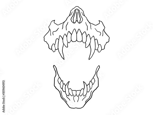 Saber-Tooth Skull Jaw Line Art. Bold line art of a skull jaw with saber fangs, ideal for coloring pages, tattoo flash, Halloween art, horror illustrations, and anatomical study templates. 
