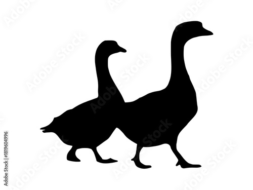 Black goose silhouette of two walking geese on a white background, high-contrast vector-style clipart ideal for logos, web graphics, print designs, and crafting projects.