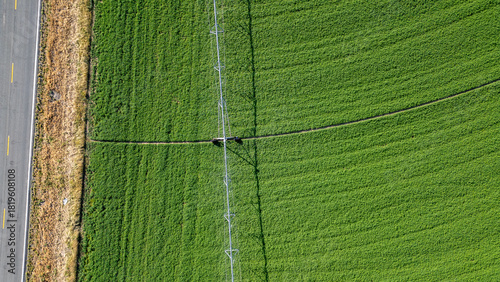 Stock image of agriculture and farming in Nevada.
Aerial view of the farmer’s green field at sunrise.
Agriculture: Green Crop Irrigation.
A farmer keeps his field green and lush with a huge sprinkler.