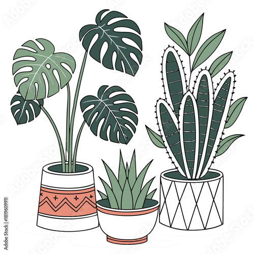 Potted house plants composition. Home and office interior houseplants. Modern green leaf, succulent, cactus decoration in planters, flowerpots. Flat vector illustration isolated on white background