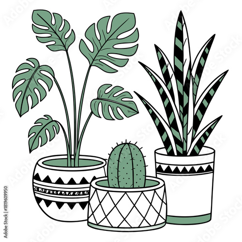 Potted house plants composition. Home and office interior houseplants. Modern green leaf, succulent, cactus decoration in planters, flowerpots. Flat vector illustration isolated on white background