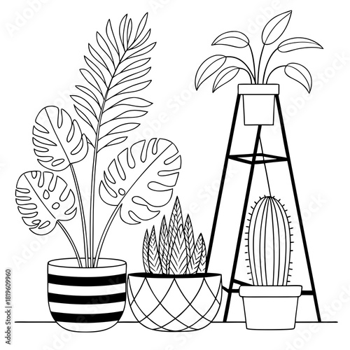 Potted house plants composition. Home and office interior houseplants. Modern green leaf, succulent, cactus decoration in planters, flowerpots. Flat vector illustration isolated on white background