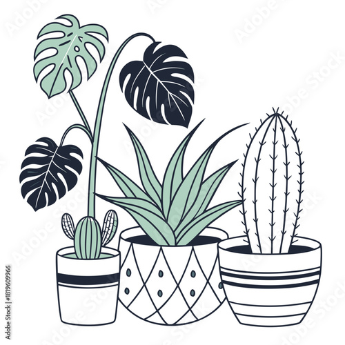 Potted house plants composition. Home and office interior houseplants. Modern green leaf, succulent, cactus decoration in planters, flowerpots. Flat vector illustration isolated on white background