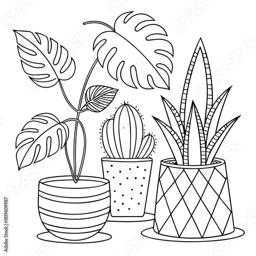 Potted house plants composition. Home and office interior houseplants. Modern green leaf, succulent, cactus decoration in planters, flowerpots. Flat vector illustration isolated on white background