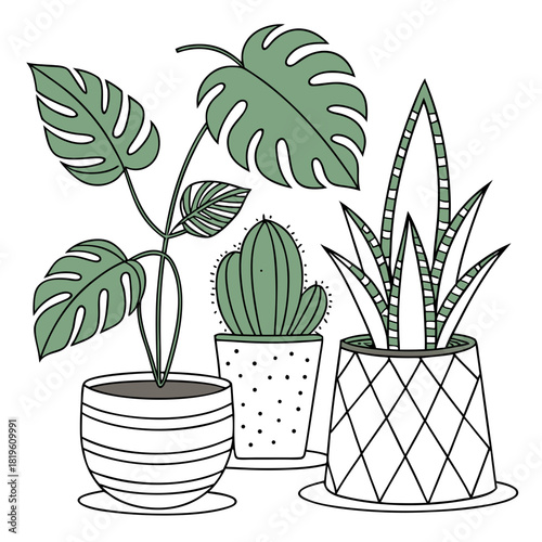 Potted house plants composition. Home and office interior houseplants. Modern green leaf, succulent, cactus decoration in planters, flowerpots. Flat vector illustration isolated on white background