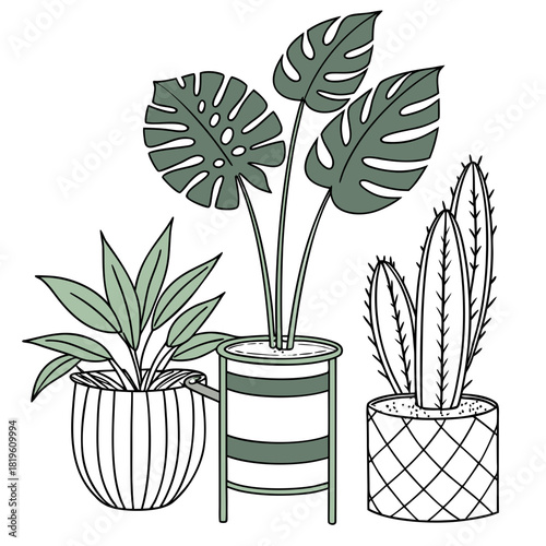 Potted house plants composition. Home and office interior houseplants. Modern green leaf, succulent, cactus decoration in planters, flowerpots. Flat vector illustration isolated on white background