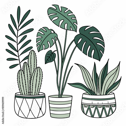 Potted house plants composition. Home and office interior houseplants. Modern green leaf, succulent, cactus decoration in planters, flowerpots. Flat vector illustration isolated on white background