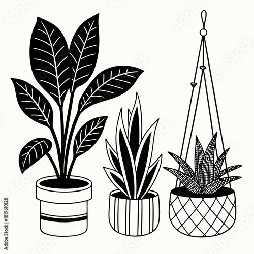 Potted house plants composition. Home and office interior houseplants. Modern green leaf, succulent, cactus decoration in planters, flowerpots. Flat vector illustration isolated on white background
