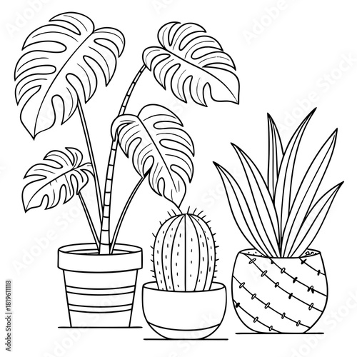 Potted house plants composition. Home and office interior houseplants. Modern green leaf, succulent, cactus decoration in planters, flowerpots. Flat vector illustration isolated on white background