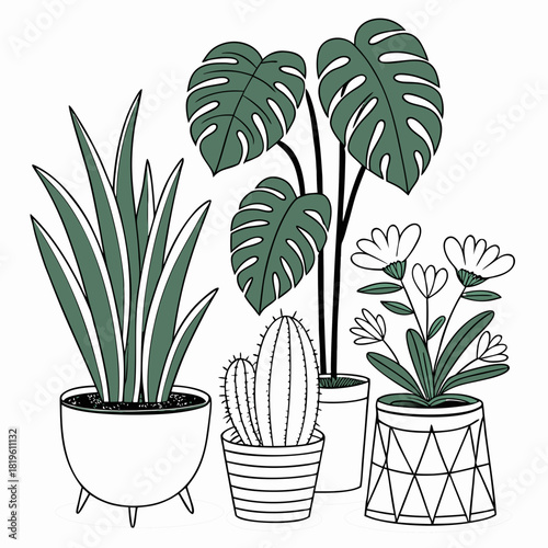 Potted house plants composition. Home and office interior houseplants. Modern green leaf, succulent, cactus decoration in planters, flowerpots. Flat vector illustration isolated on white background