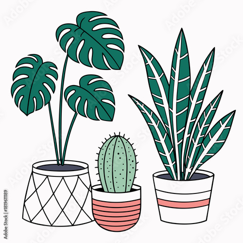 Potted house plants composition. Home and office interior houseplants. Modern green leaf, succulent, cactus decoration in planters, flowerpots. Flat vector illustration isolated on white background