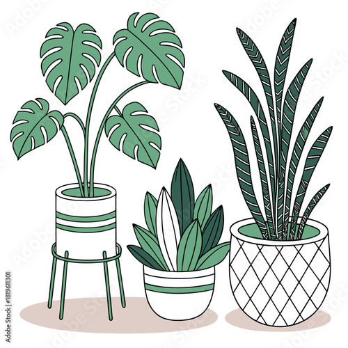 Potted house plants composition. Home and office interior houseplants. Modern green leaf, succulent, cactus decoration in planters, flowerpots. Flat vector illustration isolated on white background