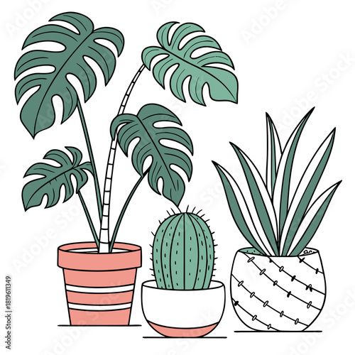 Potted house plants composition. Home and office interior houseplants. Modern green leaf, succulent, cactus decoration in planters, flowerpots. Flat vector illustration isolated on white background