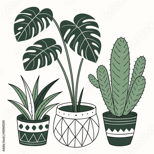 Potted house plants composition. Home and office interior houseplants. Modern green leaf, succulent, cactus decoration in planters, flowerpots. Flat vector illustration isolated on white background