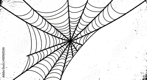Spider web pattern with intricate design on white background  