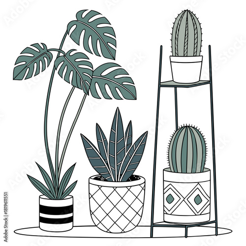 Potted house plants composition. Home and office interior houseplants. Modern green leaf, succulent, cactus decoration in planters, flowerpots. Flat vector illustration isolated on white background