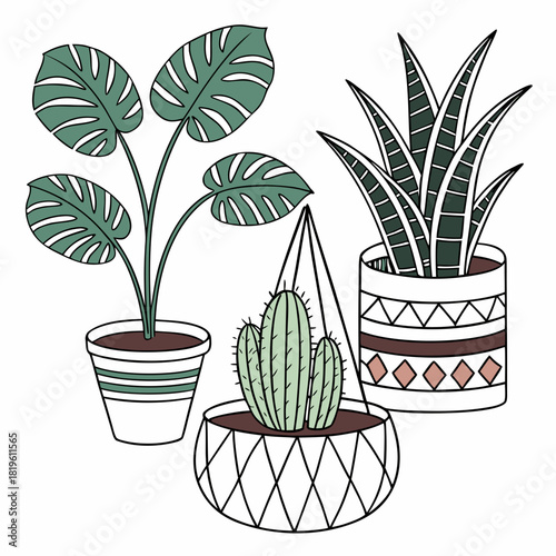 Potted house plants composition. Home and office interior houseplants. Modern green leaf, succulent, cactus decoration in planters, flowerpots. Flat vector illustration isolated on white background