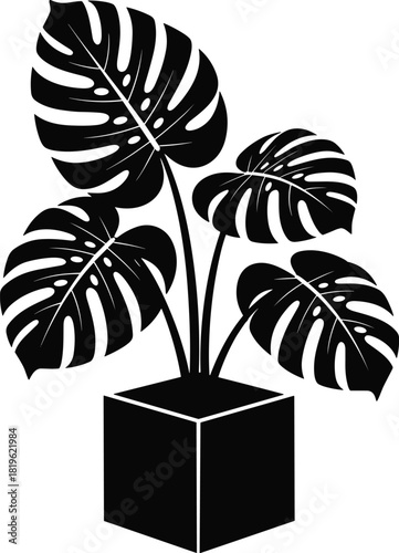 Monstera Deliciosa Plant Silhouette Vector Illustration, Potted Houseplant Graphic with Large Leaves, Tropical Foliage and Indoor Decor Icon, Black Monochrome Design, Isolated on White