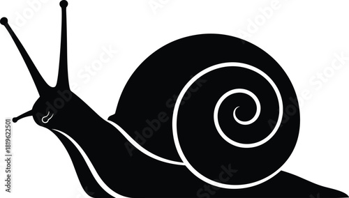 Snail Silhouette Vector Illustration, Garden Snail with Shell Icon, Simple Black Monochrome Gastropod Mollusk Graphic, Slow Moving Animal Symbol, Nature or Pest Control Design, Isolated on White