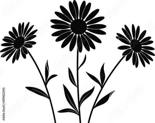 Three Daisy or Aster Flowers Silhouette Vector, Floral Arrangement Illustration, Botanical Decoration Element, Black Monochrome Blossom Graphic, Nature Outline Art, Isolated on White