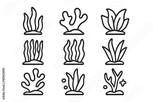 Set of nine simple outline icons depicting various types of underwater seaweed and aquatic plants