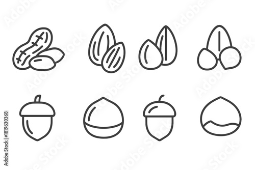Common edible nuts outline symbols including peanuts, almonds, and hazelnuts
