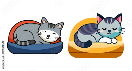 Cute grey cats sleeping peacefully in cozy beds